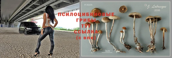 прущие крисы Алексеевка
