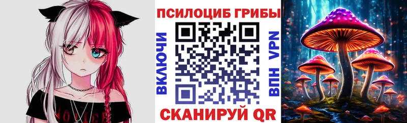 Псилоцибиновые грибы MAGIC MUSHROOMS  Болхов 