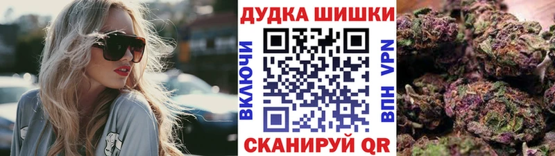 МАРИХУАНА план  Болхов 